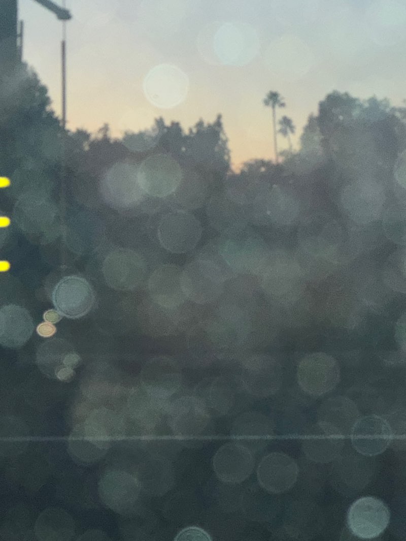 walking near me in Gomes Park in autumn