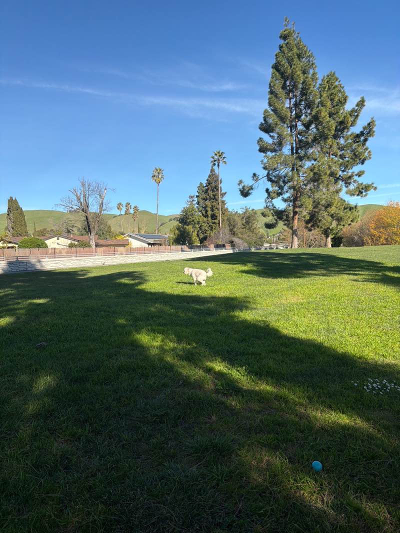 walking near me in Gomes Park in winter