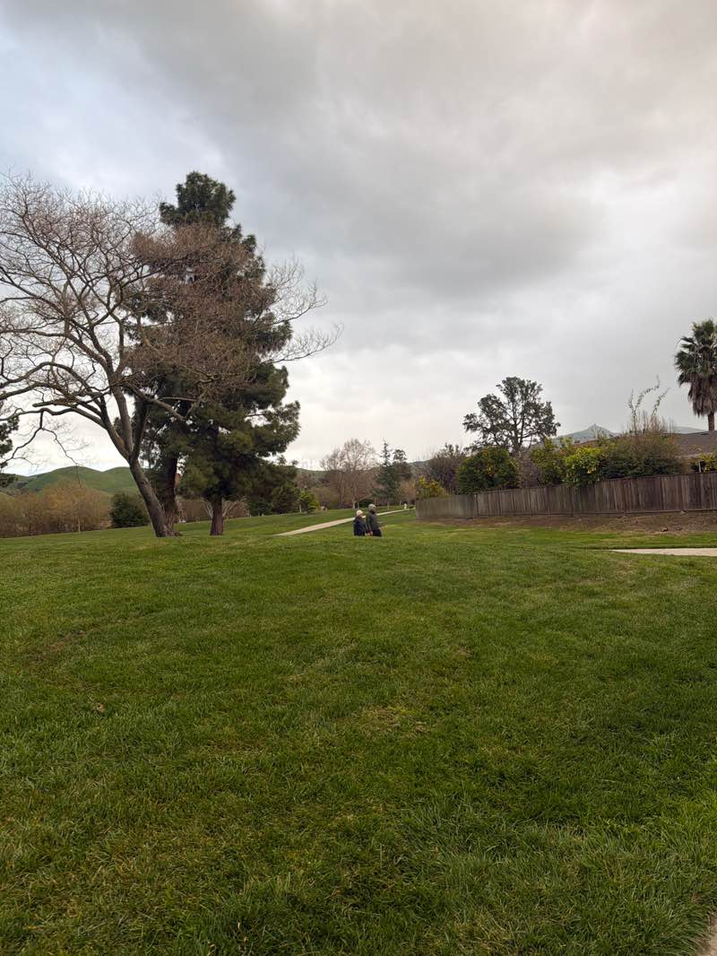 walking near me in Gomes Park in winter