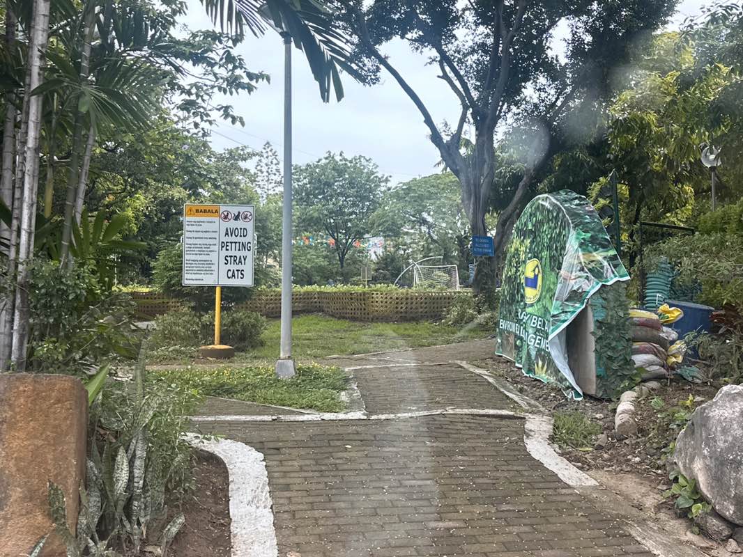 walking near me in Bel-Air Park in summer