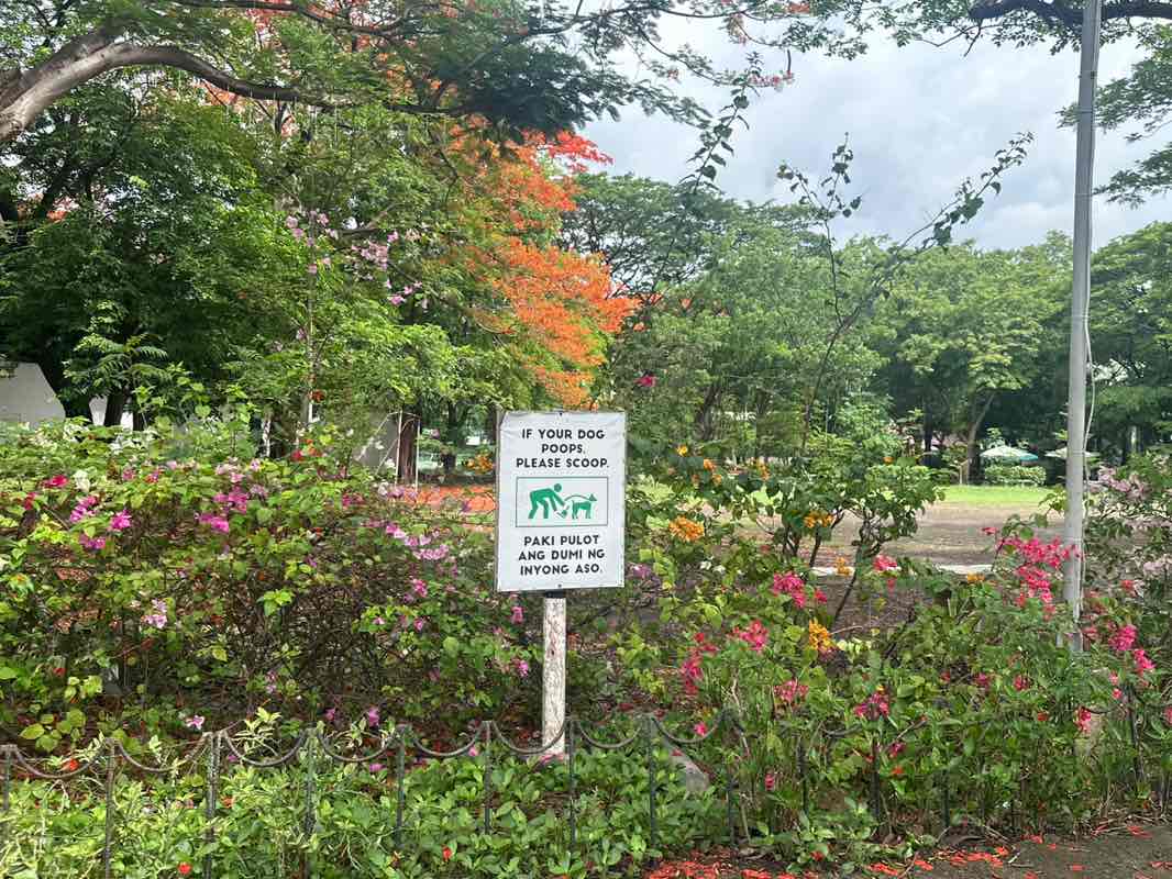 walking near me in Sun Valley Park in summer