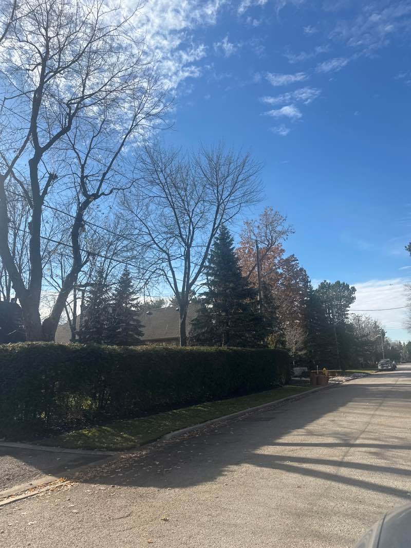 walking near me in Crosby Park in autumn