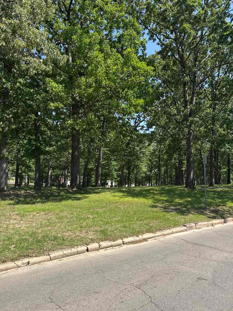 walking near me in Ferguson Grove in spring