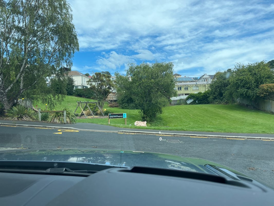 walking near me in College Street Playground in summer
