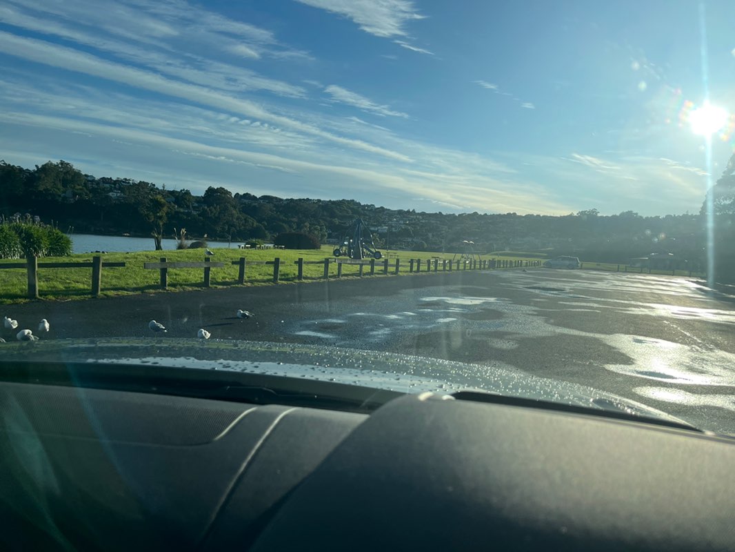 walking near me in Bayfield Park in summer