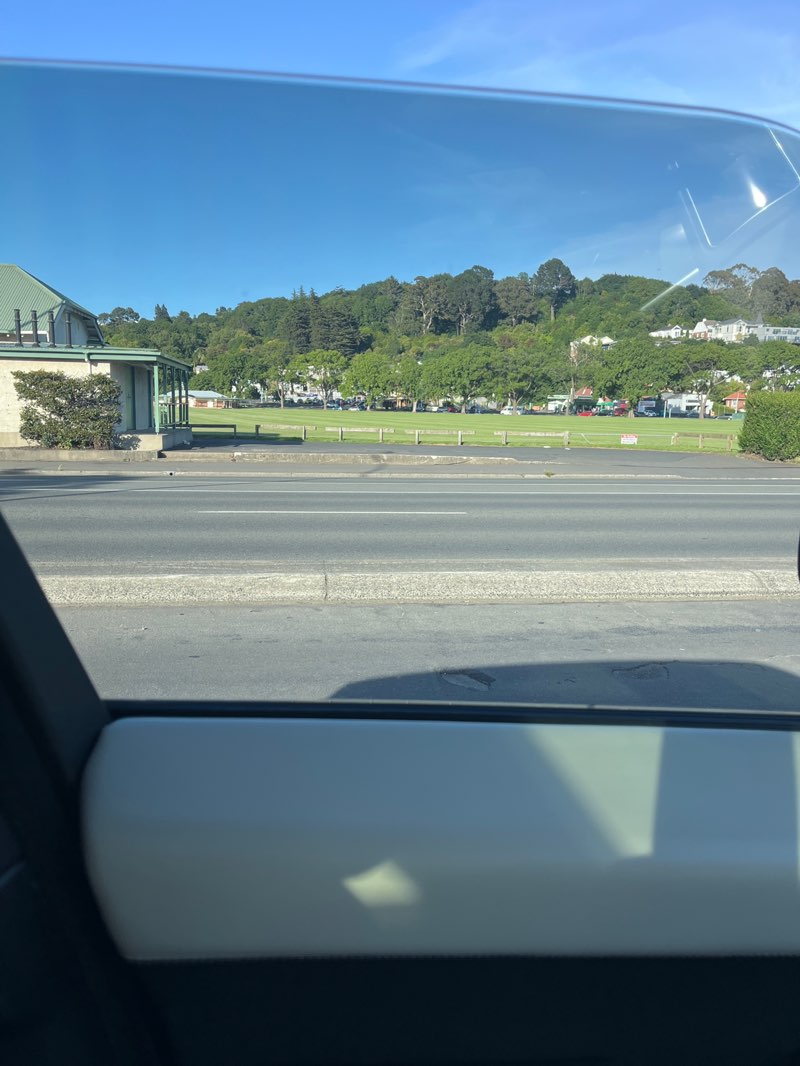 walking near me in The Oval in summer