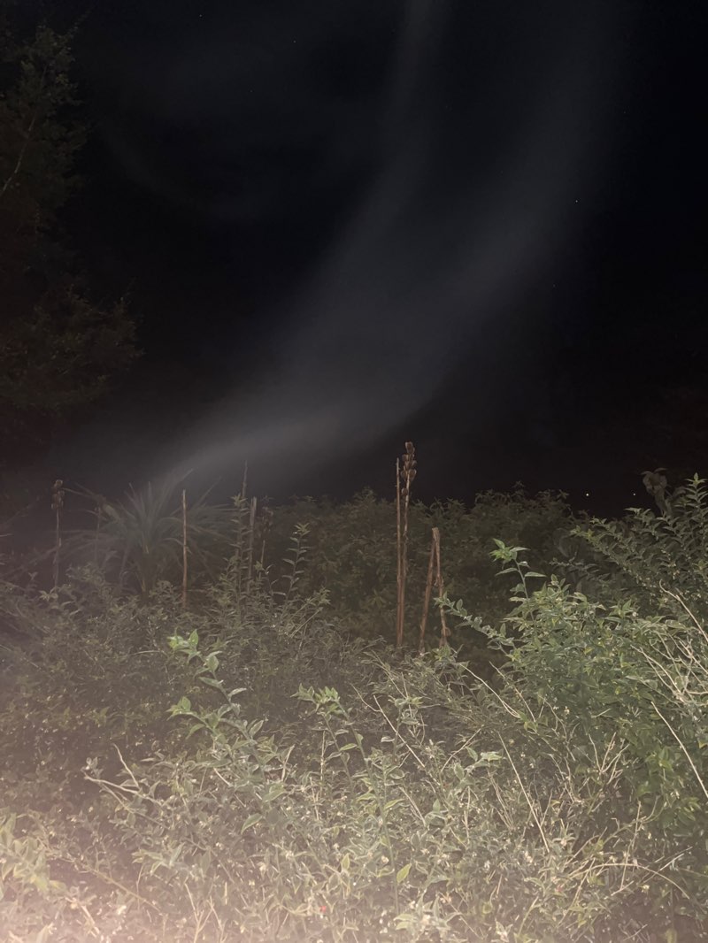 walking near me in Gardens Ground in spring