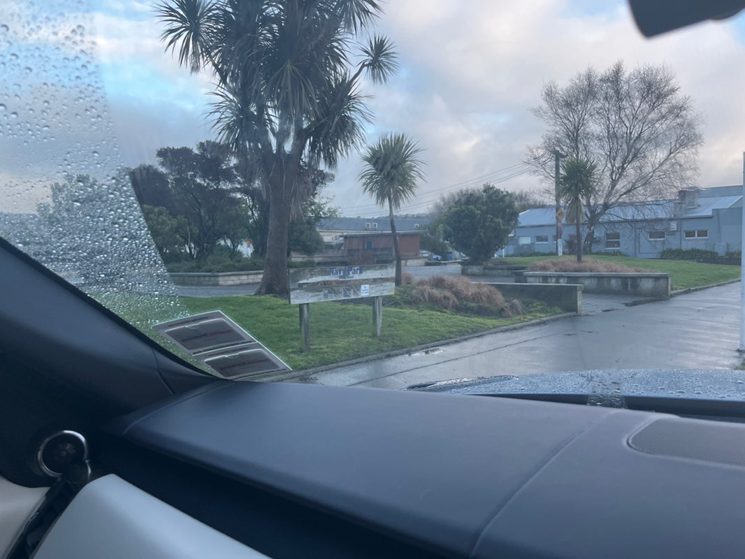 walking near me in Navy Park in spring