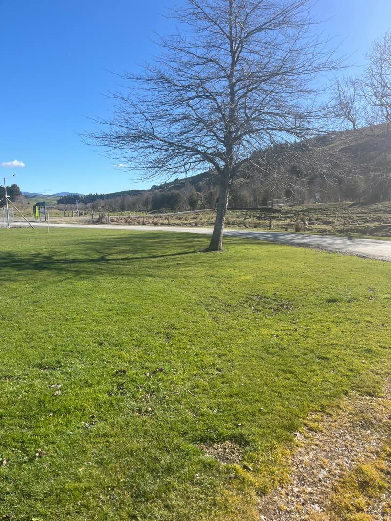 walking near me in take a break park in spring