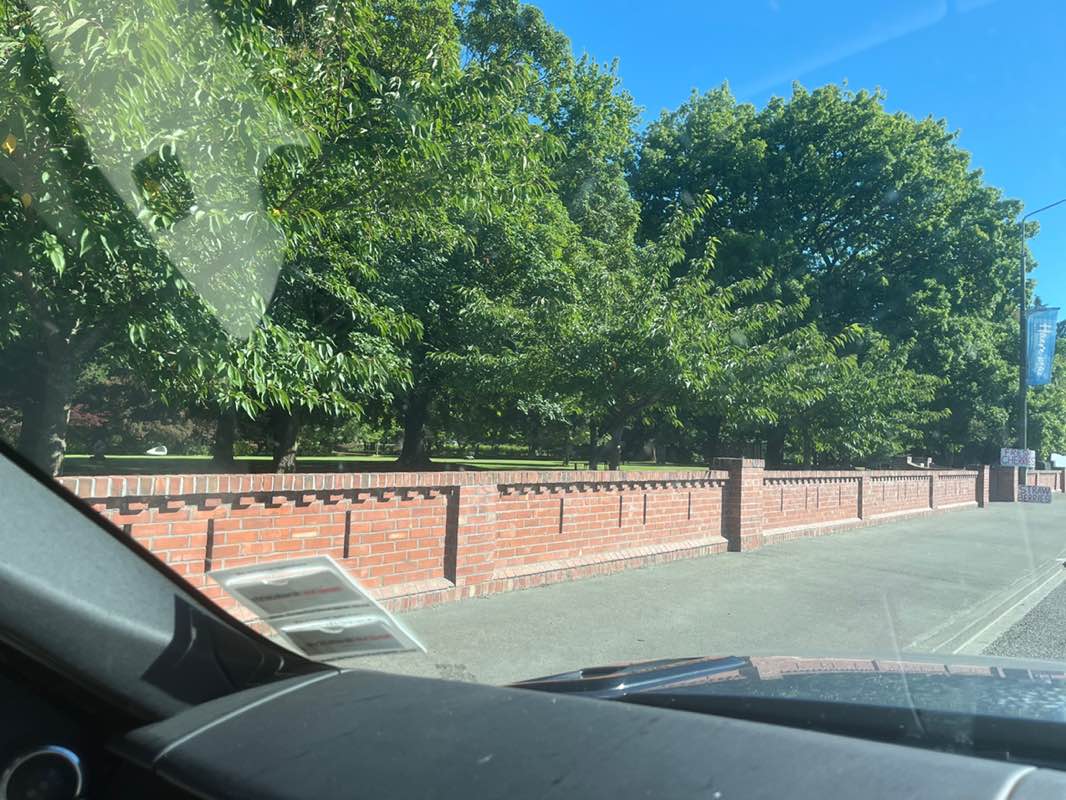 walking near me in Ashburton Domain in summer