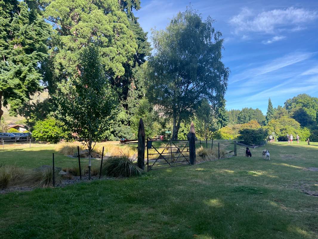 walking near me in Wanaka Station Park in summer