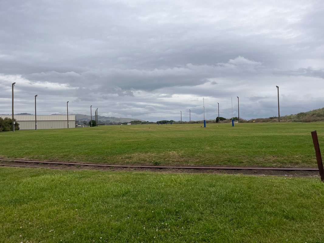 walking near me in Ocean Beach Domain (Shark Park) in summer