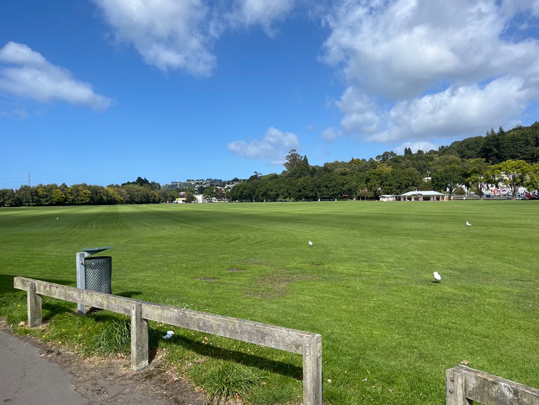 walking near me in The Oval in summer