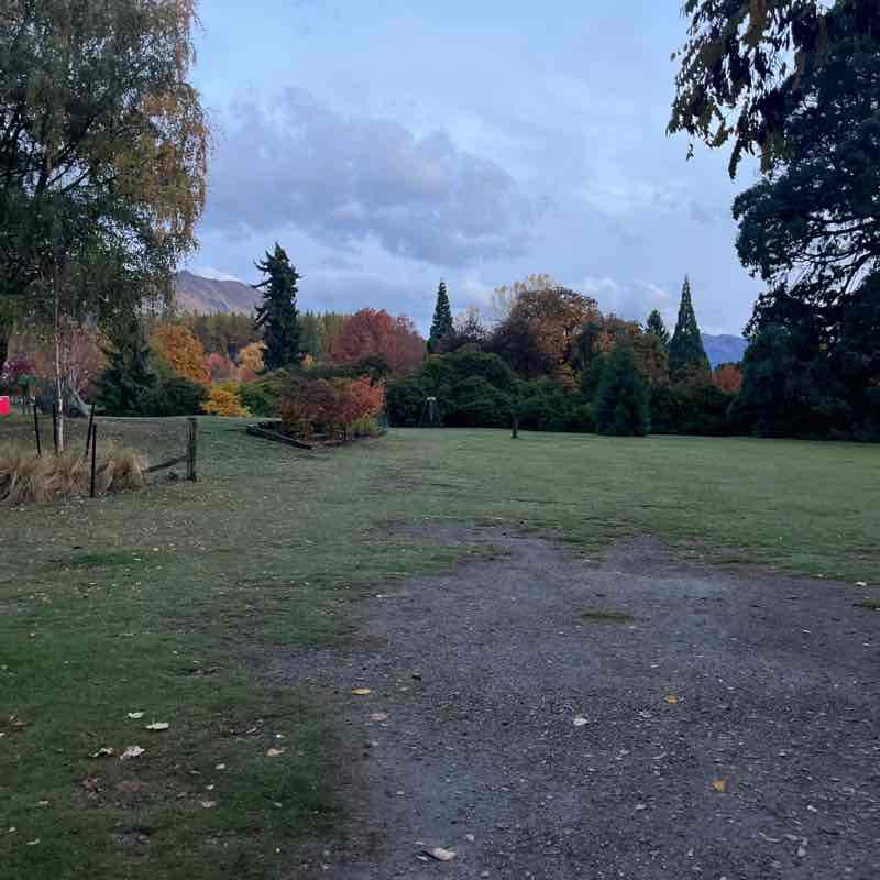 Willow post 1