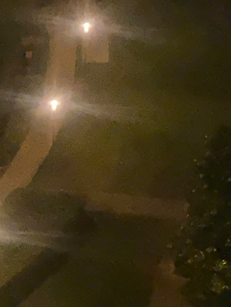 walking near me in Palm Drive Gardens in spring