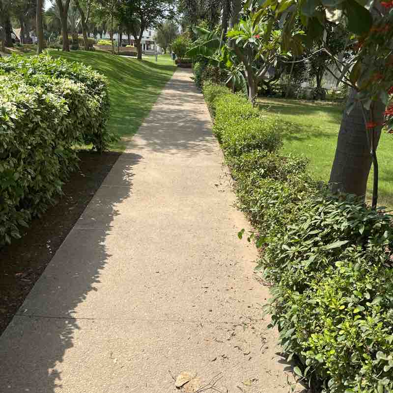 ankushmehra post 1