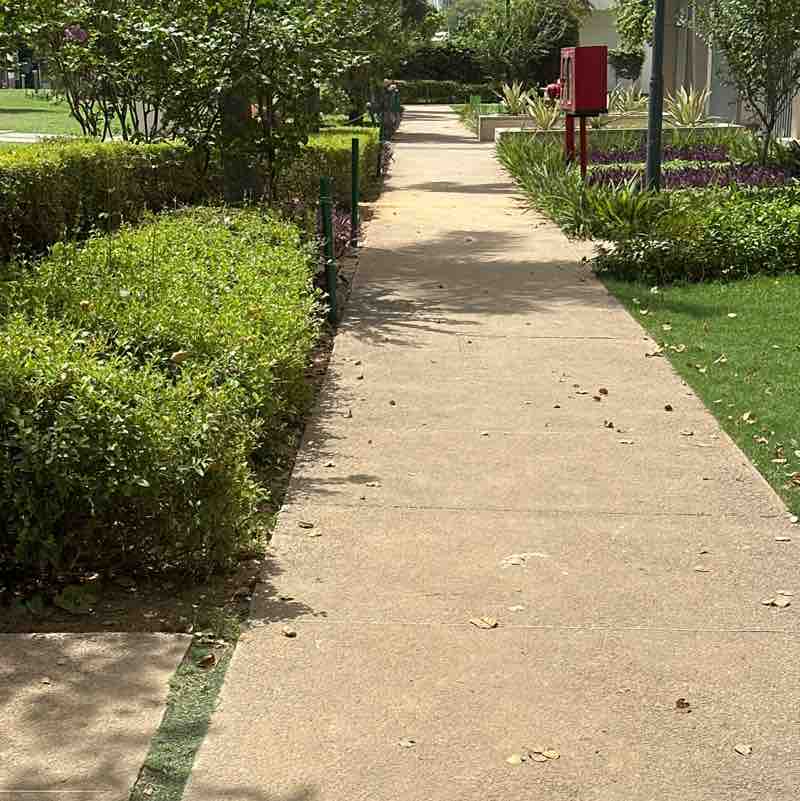 ankushmehra post 1