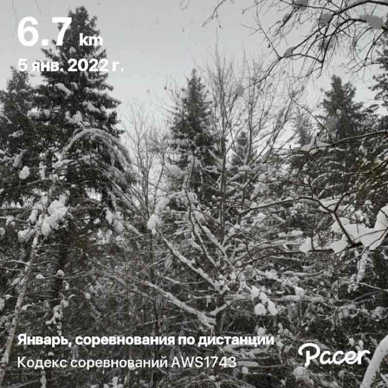 Aurora Polaris 🐯 post 1