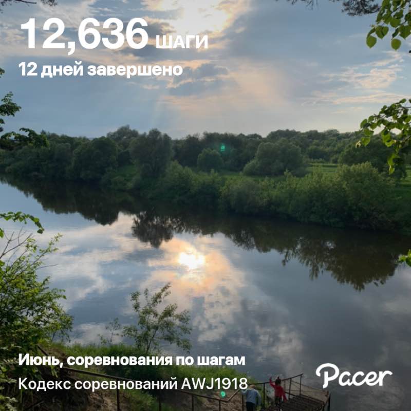 Aurora Polaris 🐯 post 1