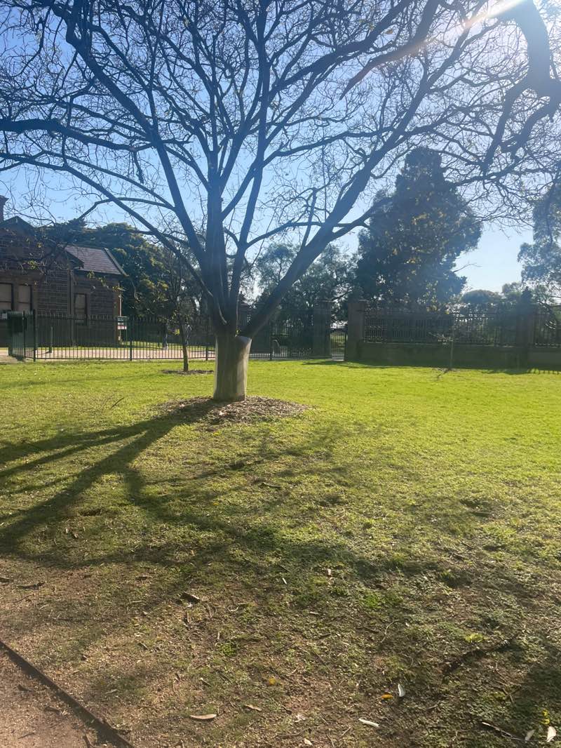 walking near me in Werribee Park in spring