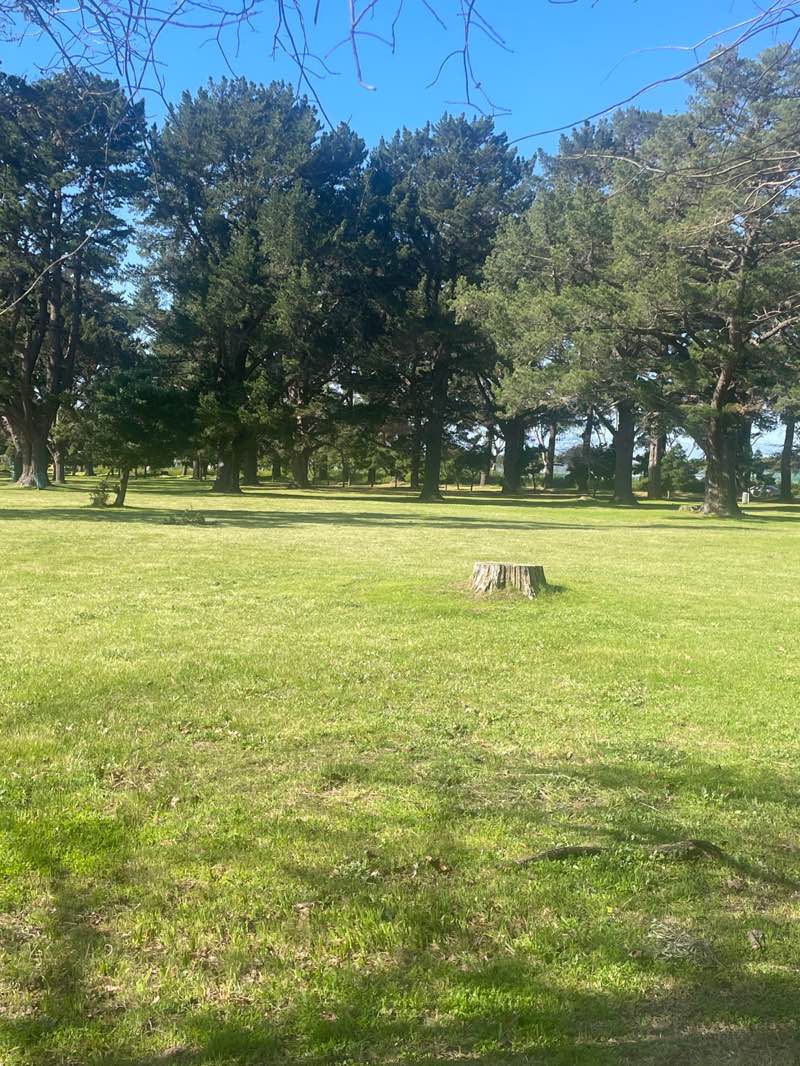 walking near me in Alphen Common in spring