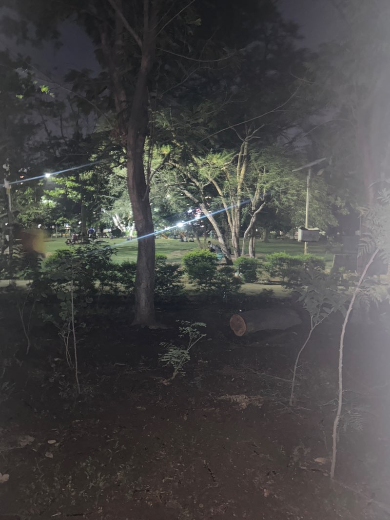 walking near me in amrapali park in summer