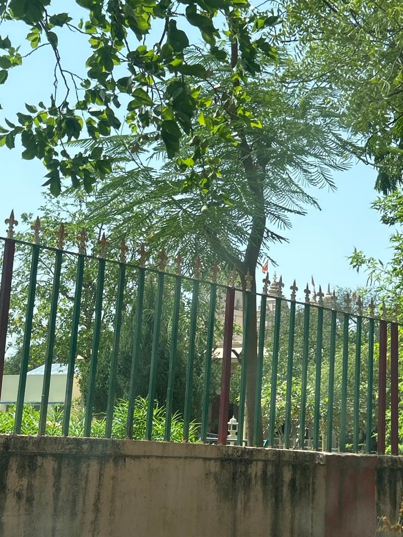 walking near me in Hanuman Vatika park in summer