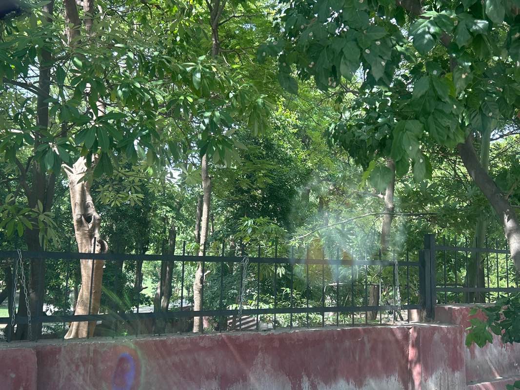 walking near me in Krishna Vatika in summer