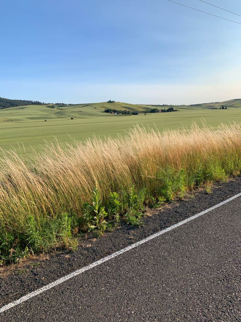 walking near me in Berman Creekside Park in winter