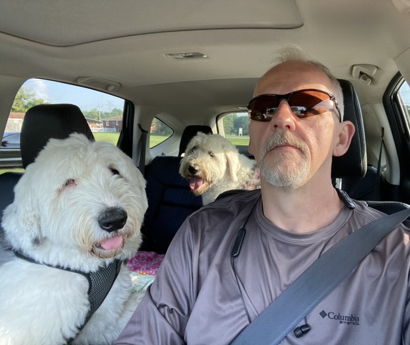 Dog walker