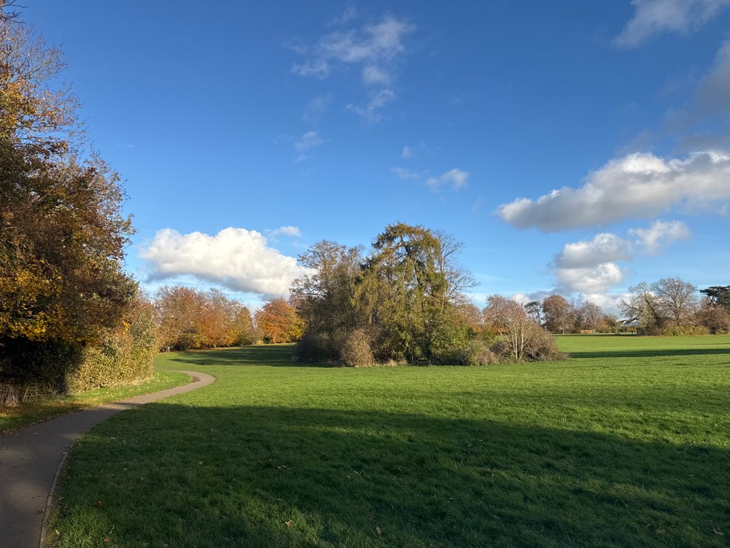 walking near me in Goddington Park in autumn