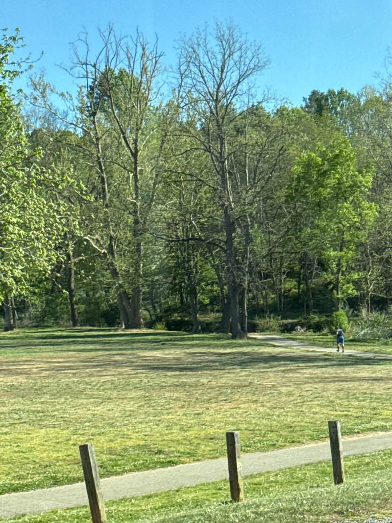 walking near me in Karpen Soccer Fields in spring
