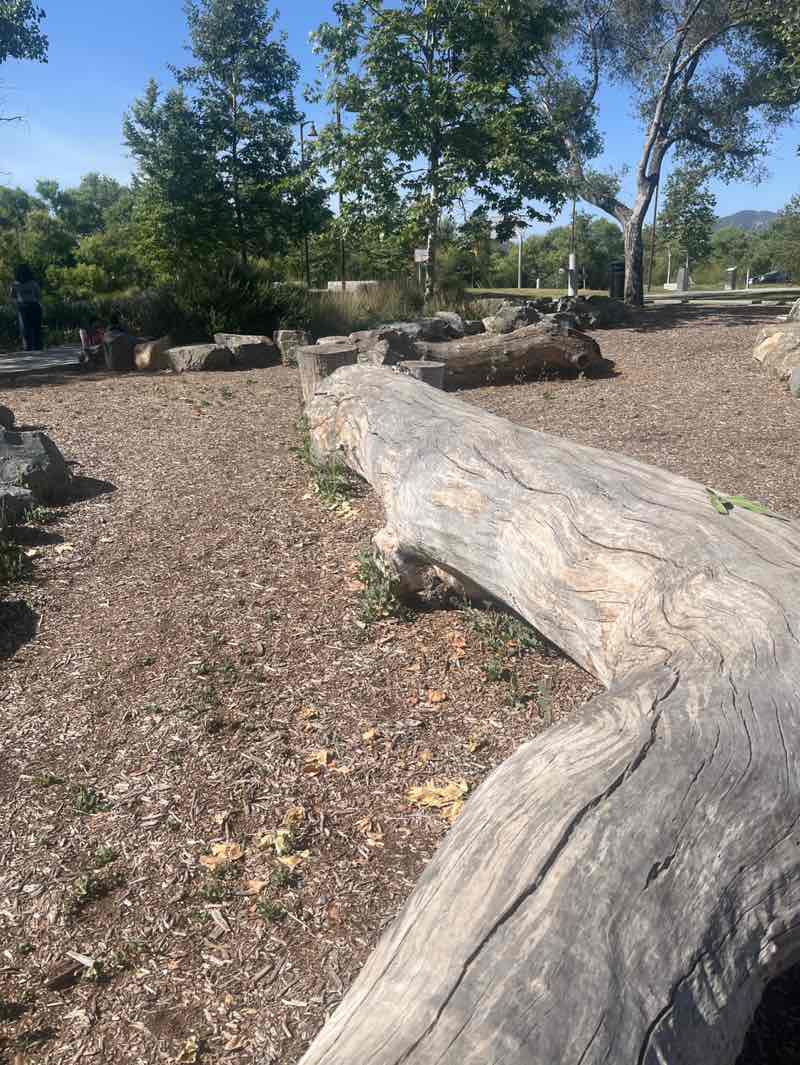walking near me in Mast Park in summer