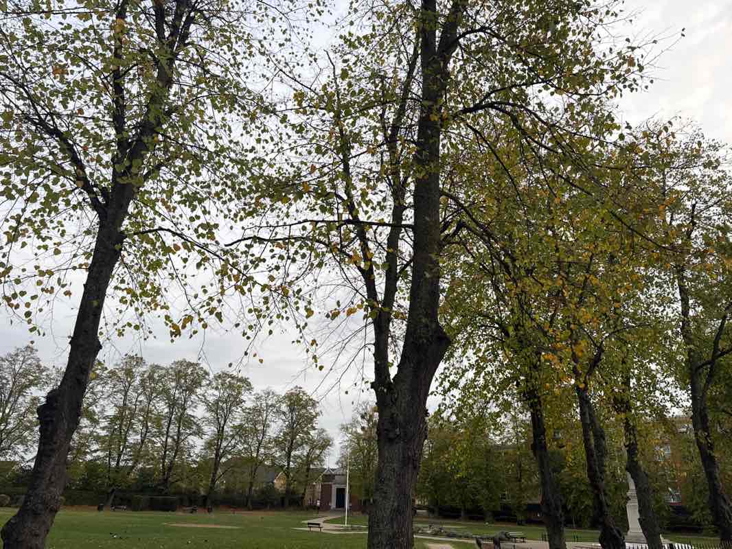 walking near me in Ilford War Memorial Gardens in autumn