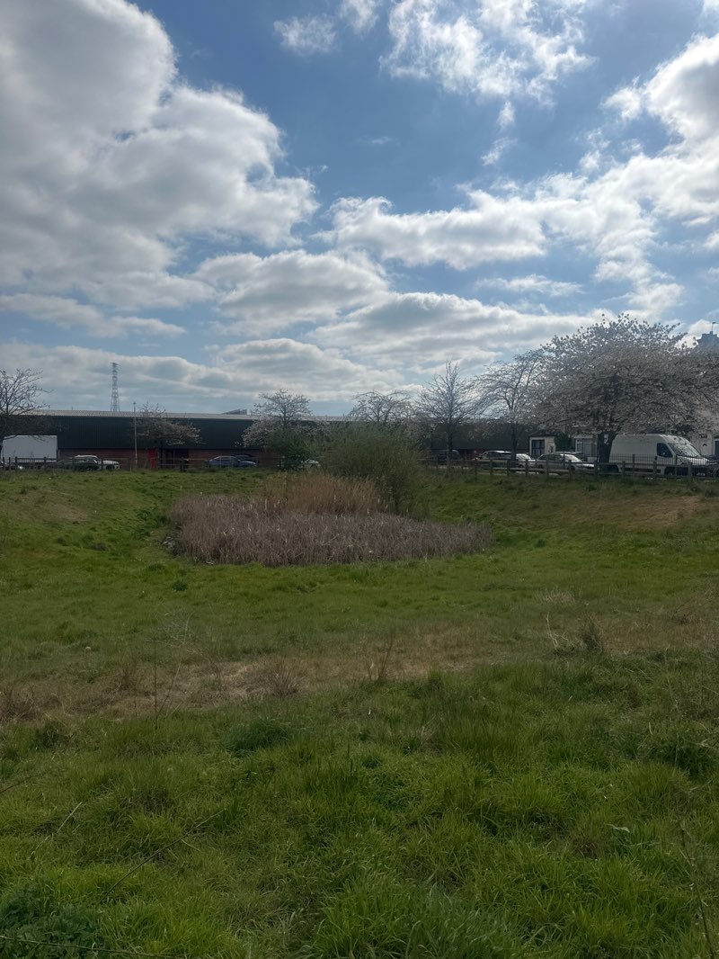 walking near me in East Street Park in spring