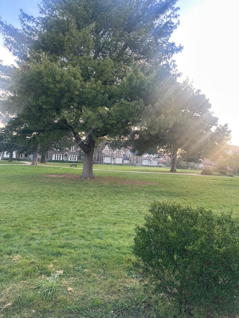 walking near me in Barnardo''s Village Green in spring