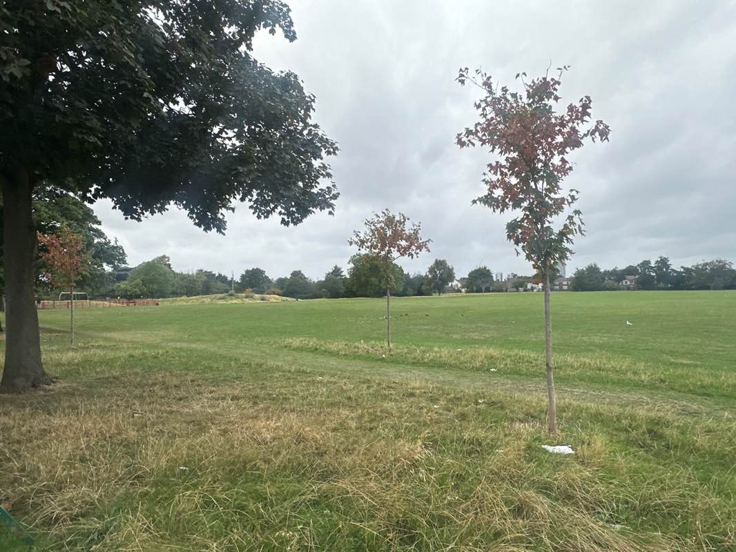 walking near me in Loxford Park in autumn