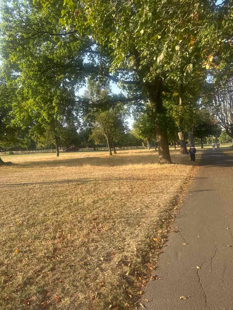 walking near me in Seven Kings Park in autumn