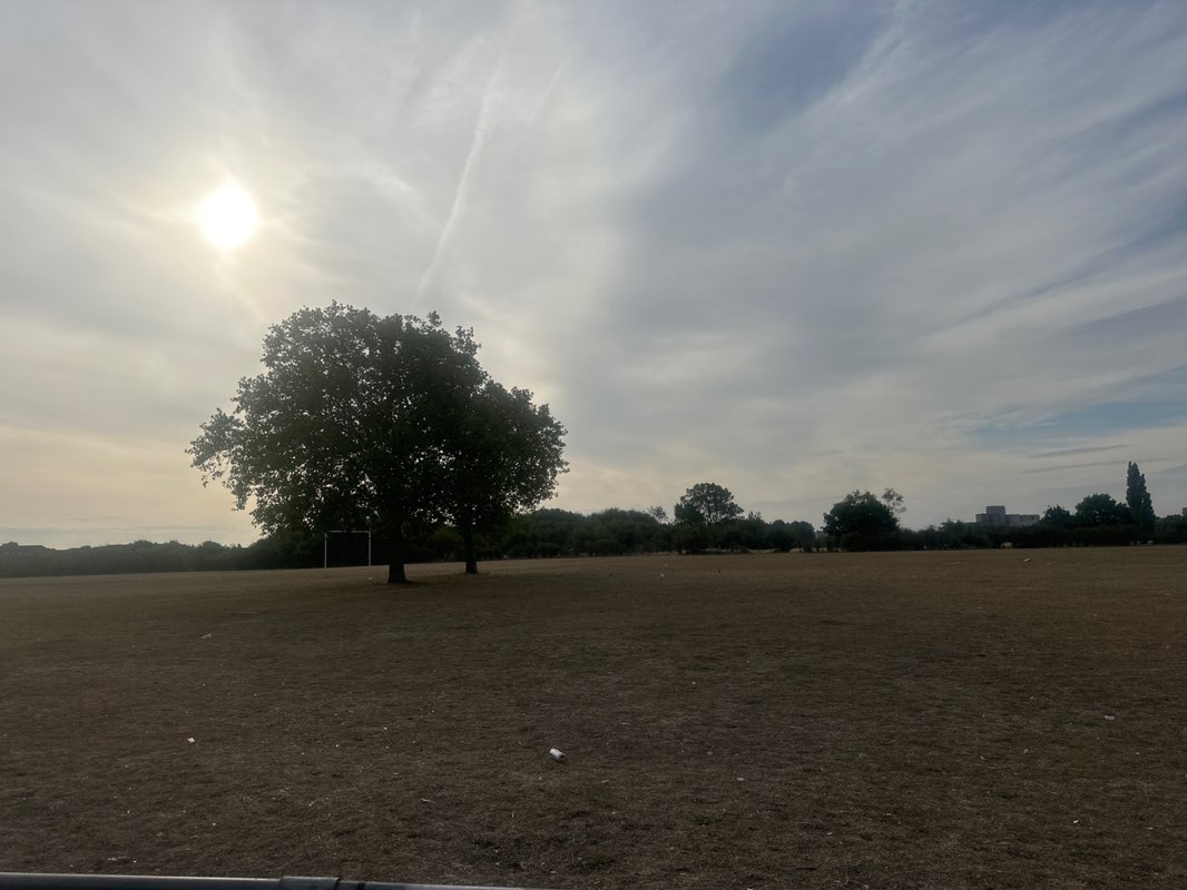 walking near me in Beam Parklands in autumn