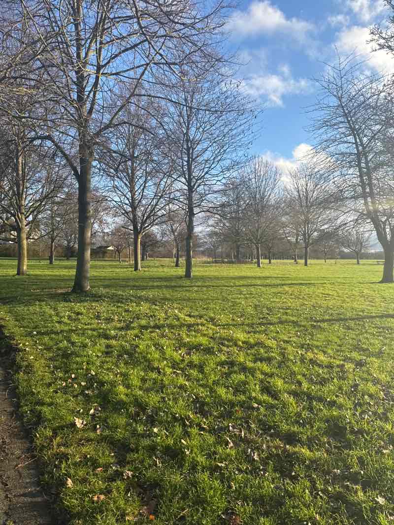 walking near me in Seven Kings Park in winter
