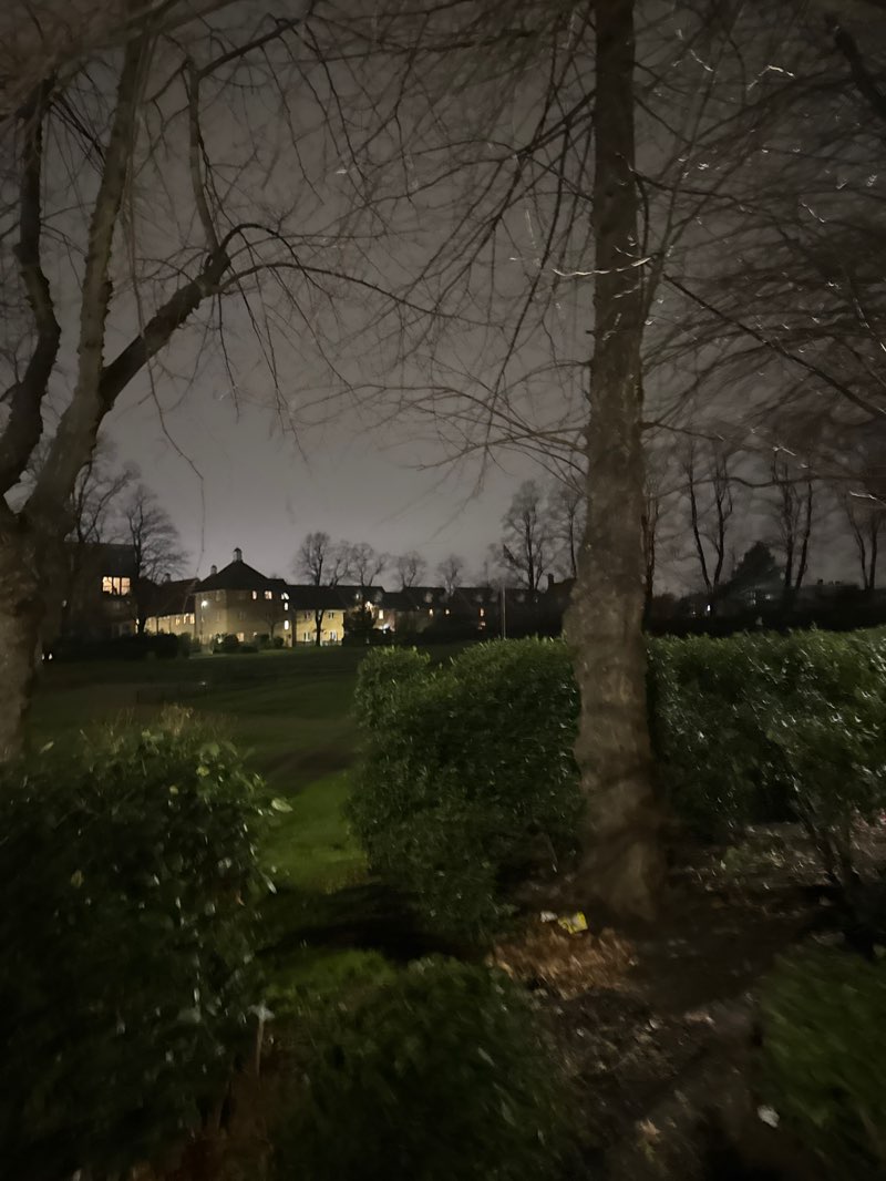 walking near me in Ilford War Memorial Gardens in winter