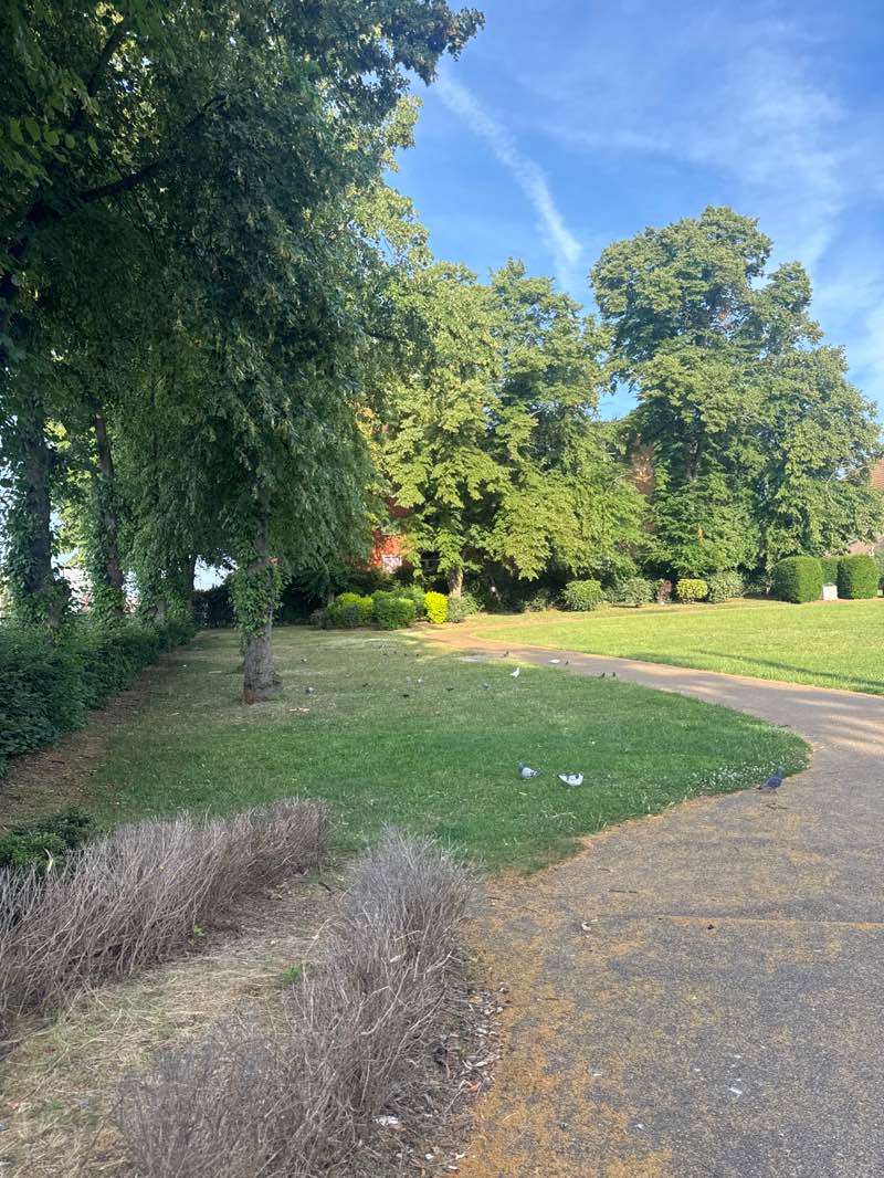 walking near me in Ilford War Memorial Gardens in summer