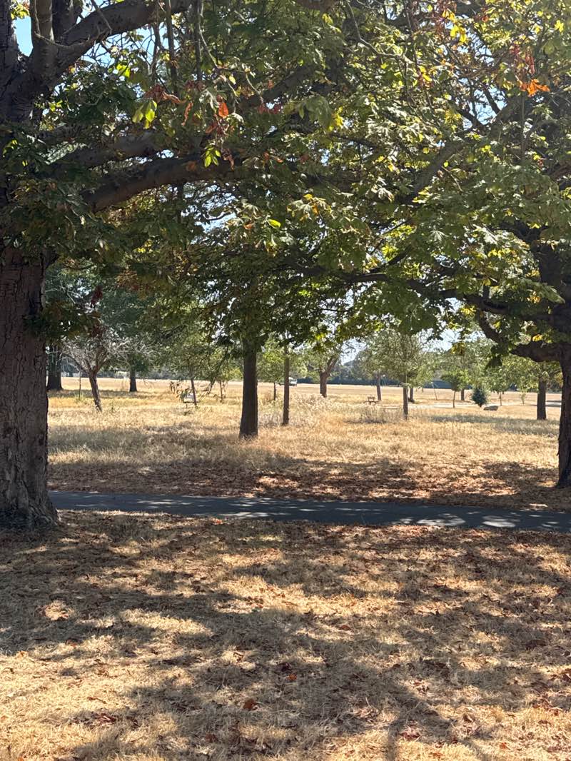 walking near me in Seven Kings Park in summer