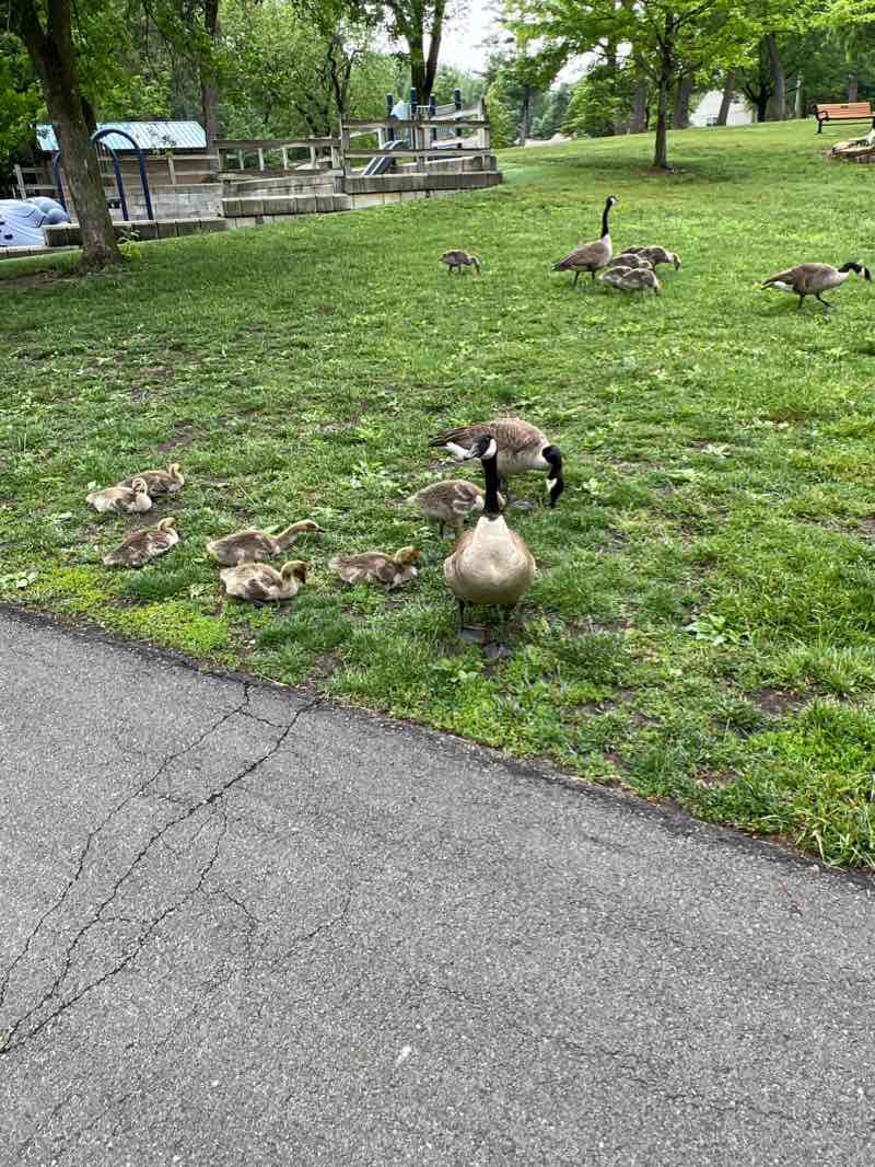 walking near me in South Lake Park in winter