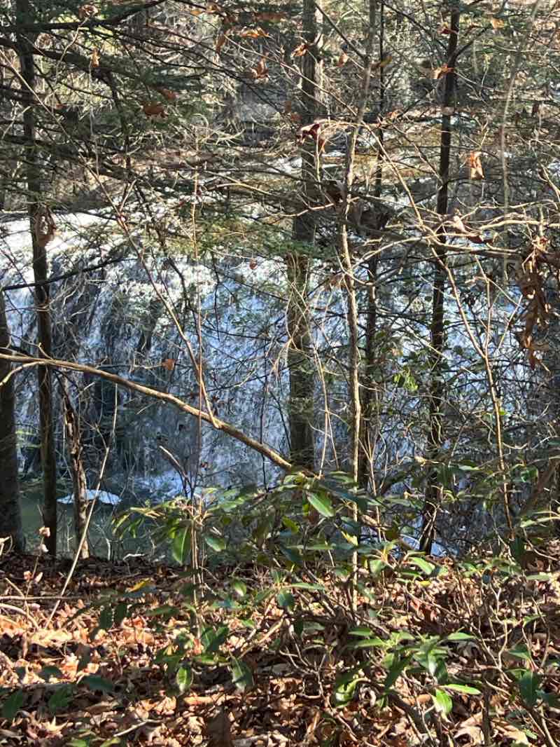 walking near me in Burgess Falls State Park in winter