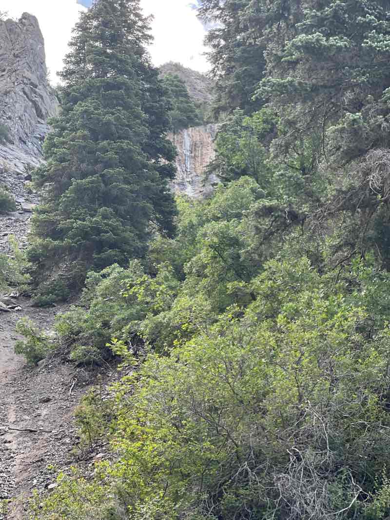 walking near me in Kiwanis Park in winter