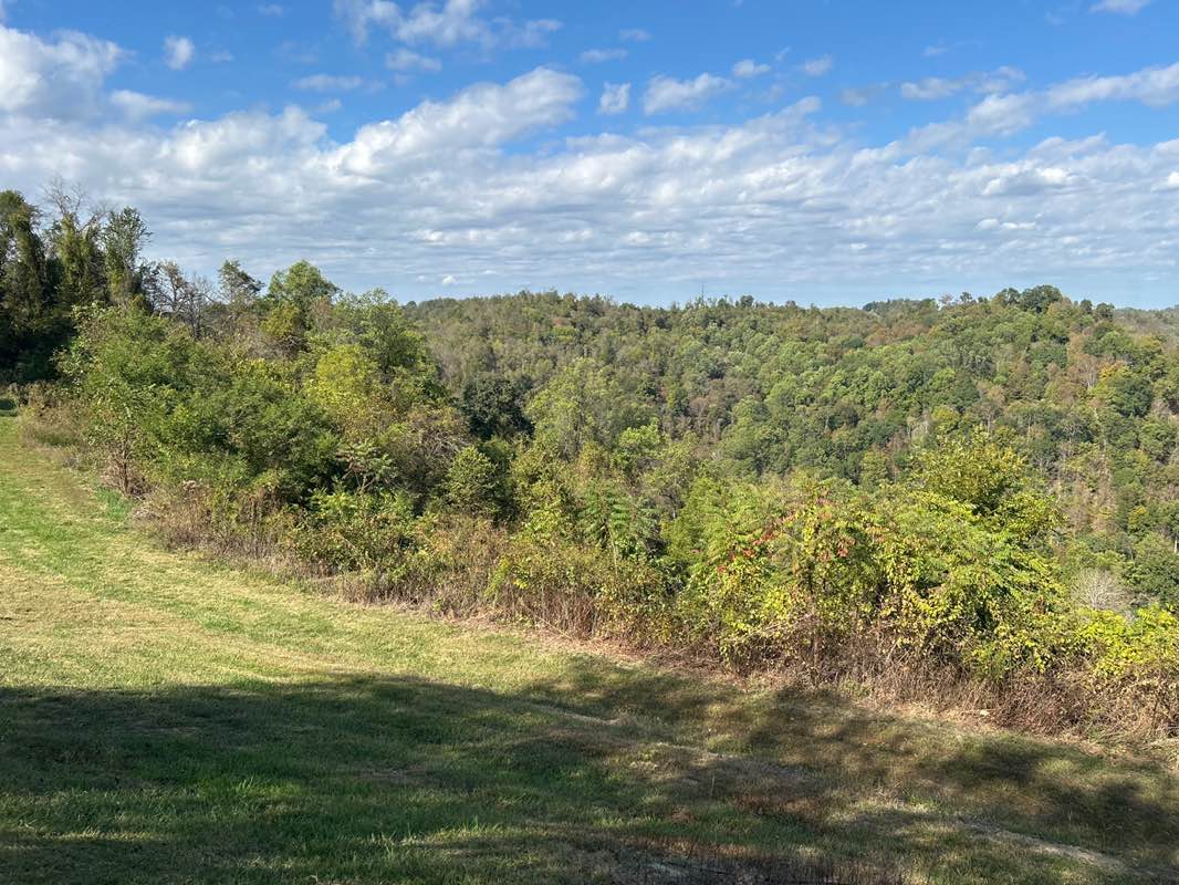 walking near me in Kiedaisch Point Park in autumn
