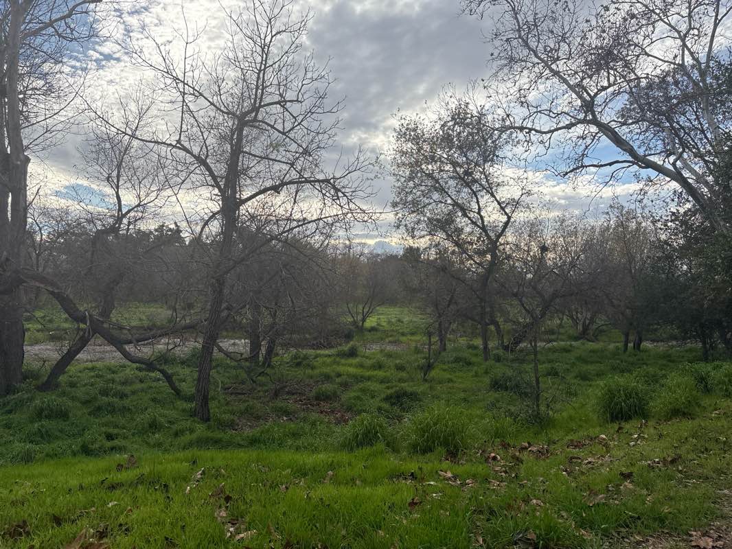 walking near me in Parkway Park in winter