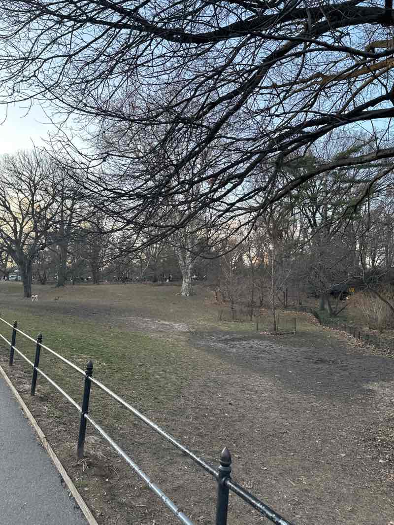 walking near me in Central Park in spring