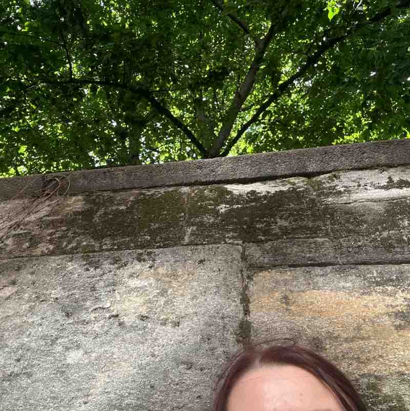 Emily post 1